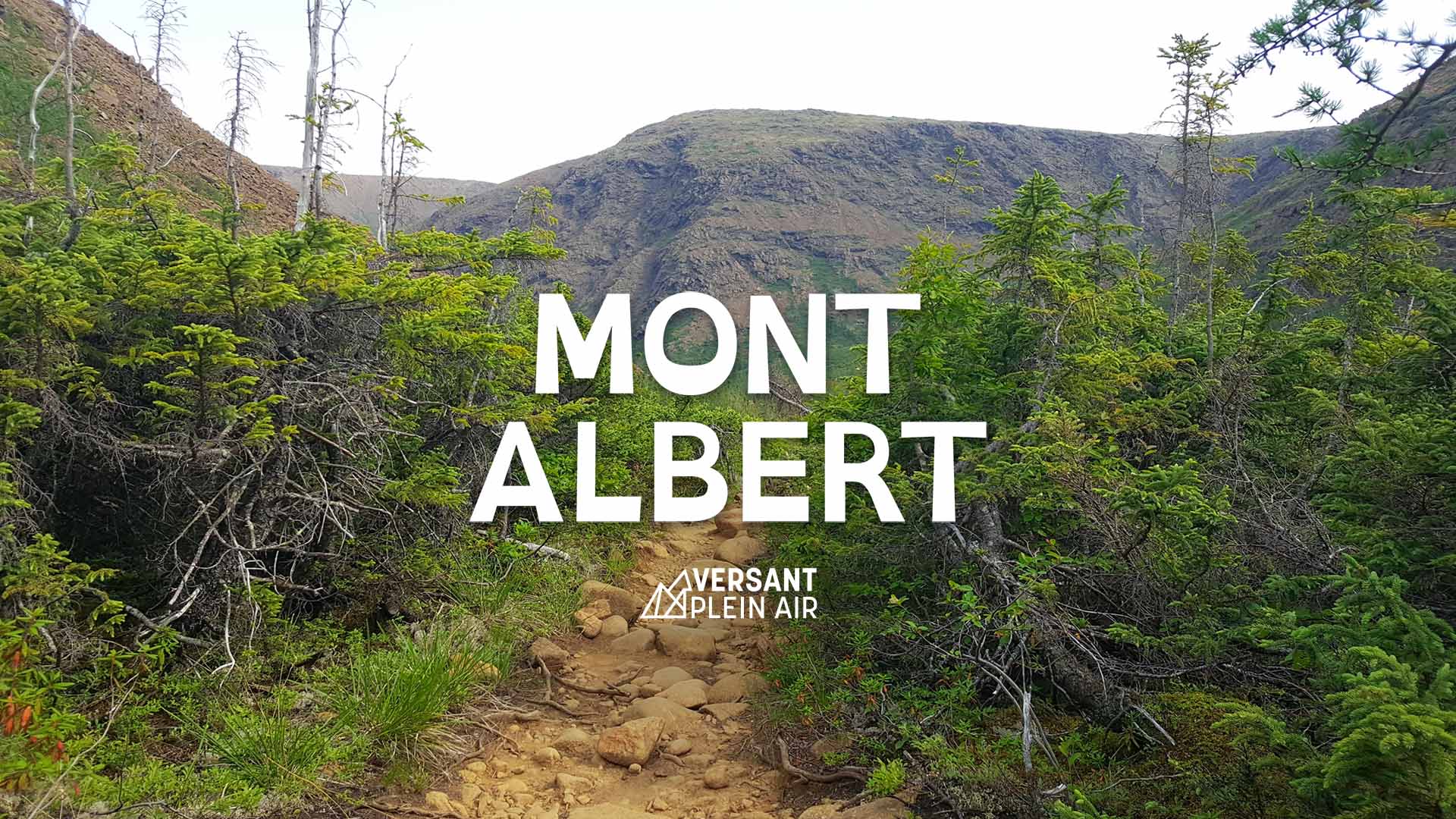 Mont Albert – Parc national de la Gaspésie – Versant plein air