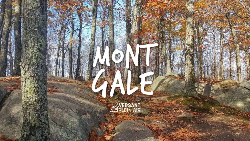 Mont Gale