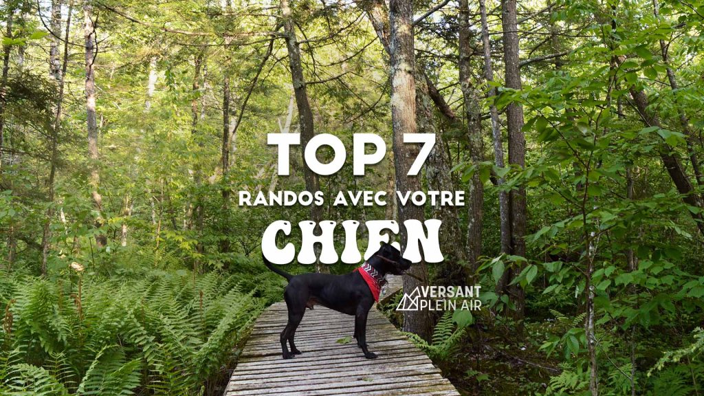 Top 7 – Randos à faire avec votre chien – Partie&nbsp;2