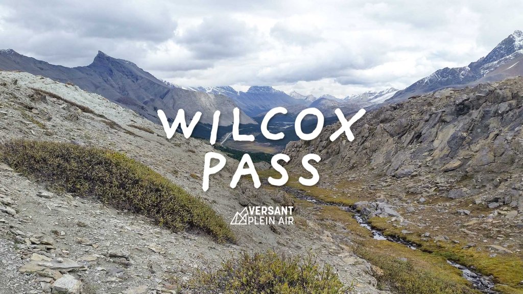 Wilcox Pass
