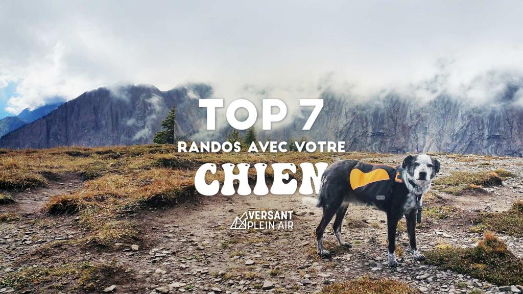 Top 7 – Randos à faire avec votre&nbsp;chien