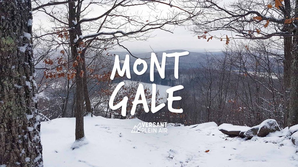 Mont Gale en&nbsp;hiver