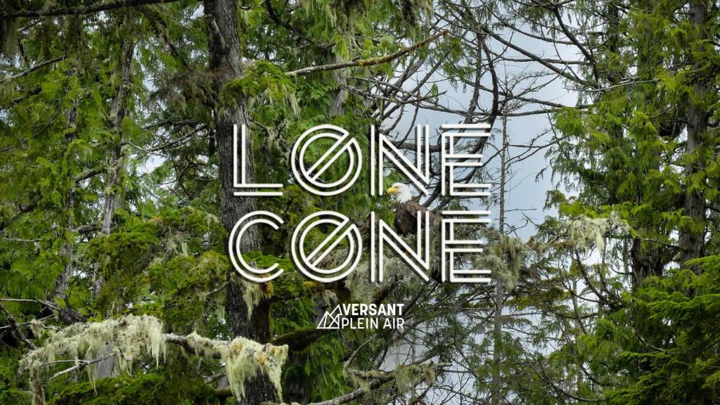 Lone Cone